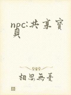 npc:共享宝贝