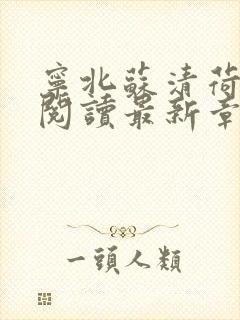 宁北苏清荷免费阅读最新章节笔趣阁封面