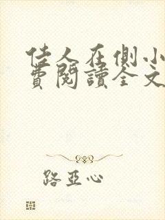 佳人在侧小说免费阅读全文无弹窗