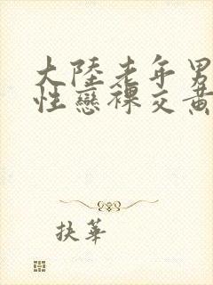 大陆老年男性同性恋裸交黄色录像片封面