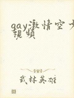 gay激情空少视频