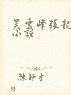 吴云峰张龙周晴小说