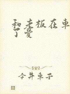 和老板在车里做了爱