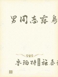 男同志露鸟电影