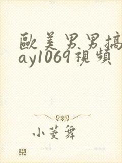 欧美男男搞基gay1069视频