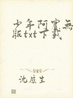 少年阿宾无删减版txt下载