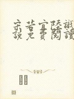 宋若宜陆识彦小说免费阅读最新章节封面