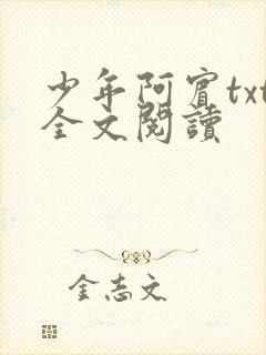 少年阿宾txt全文阅读