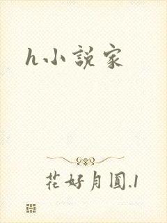 h小说家