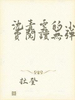 沈青云的小说免费阅读无弹窗全文最新章节封面