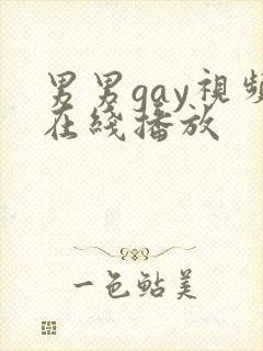 男男gay视频在线播放封面