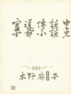 官道传说中的太子爷小说免费阅读