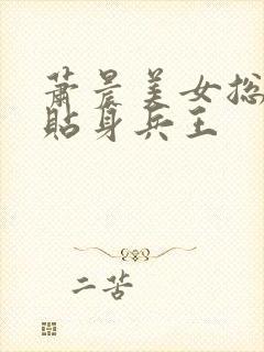 萧晨美女总裁的贴身兵王