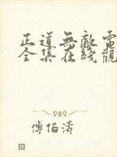 正道无敌电视剧全集在线观看免费