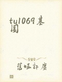 tu1069基图