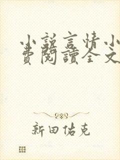 小说言情小说免费阅读全文封面