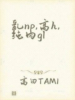乱np,高h,纯肉gl