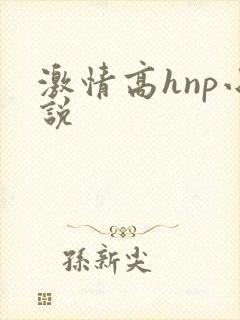 激情高hnp小说