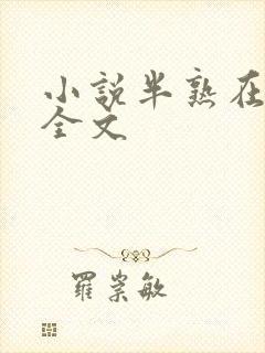 小说半熟在言外全文