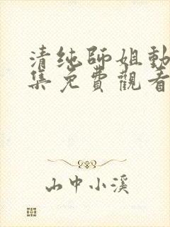 清纯师姐动漫全集免费观看完整版