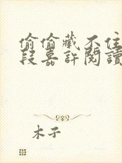 偷偷藏不住桑稚段嘉许阅读全本小说