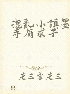 混乱小镇墨池砚寺庙求子封面