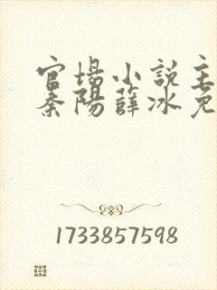 官场小说主人公秦阳薛冰免费阅读封面