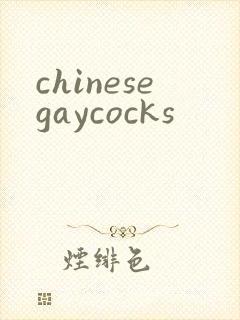 chinesegaycocks封面