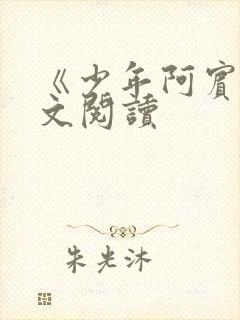 《少年阿宾》全文阅读