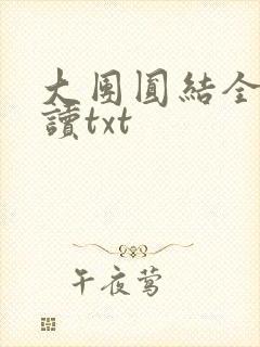 大团圆结全文阅读txt