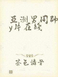 亚洲男同帅gay片在线