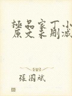 极品家丁小说 原文未删减封面