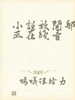 小说放开那个女巫在线看