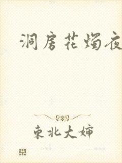 洞房花烛夜小说