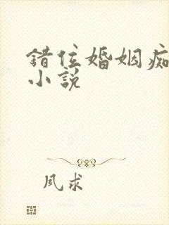 错位婚姻痴梦人小说