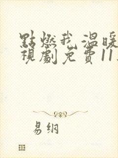 点燃我温暖你电视剧免费11集封面