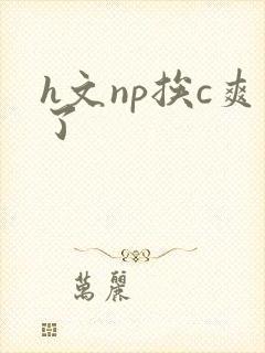 h文np挨c爽了