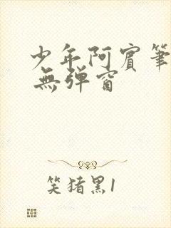 少年阿宾笔趣阁 无弹窗