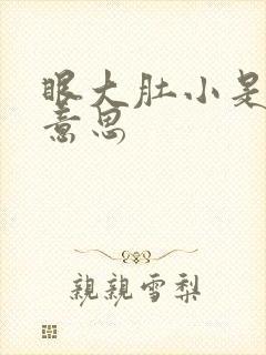 眼大肚小是什么意思