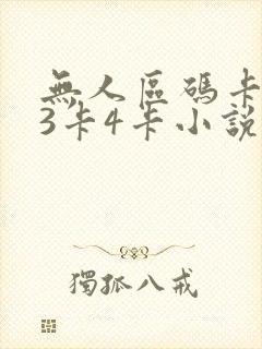 无人区码卡二卡3卡4卡小说