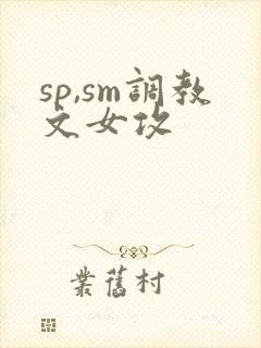 sp,sm调教文女攻封面