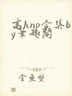 高hnp合集by笔趣阁封面