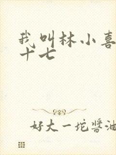 我叫林小喜今年十七封面