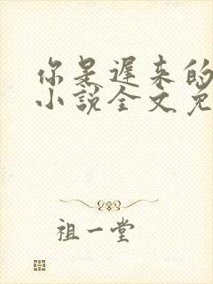 你是迟来的欢喜小说全文免费阅读