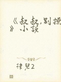 《叔叔,别撩我》小说封面