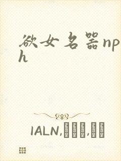 欲女名器np高h