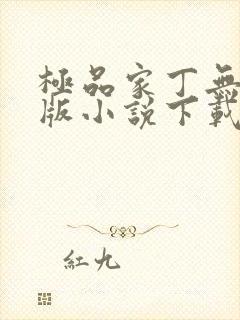 极品家丁无删减版小说下载封面