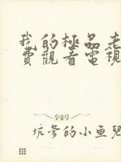 我的极品老婆免费观看电视剧全集