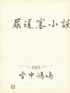 尿道塞小说封面