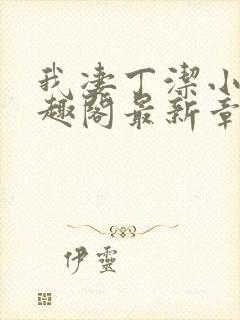 我凄丁洁小说笔趣阁最新章节更新时封面